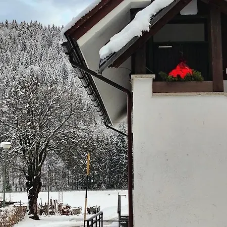Le Betulle 3 Apartment Camporosso (Tarvisio)